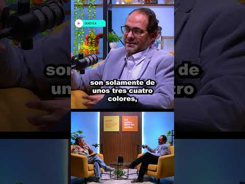 GENETICA en TENGO MUCHAS PREGUNTAS AL RESPECTO