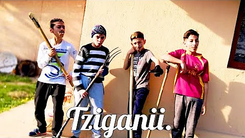 Tziganii. - Lin GANG