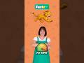 English Opposite Words 14 | ER, EST | #english #preschool #kids #opposite #oppositewords