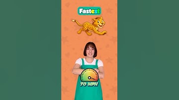 Engelse tegenovergestelde woorden 14 | ER, EST | #engels #kleuterschool #kinderen #tegenovergeste...