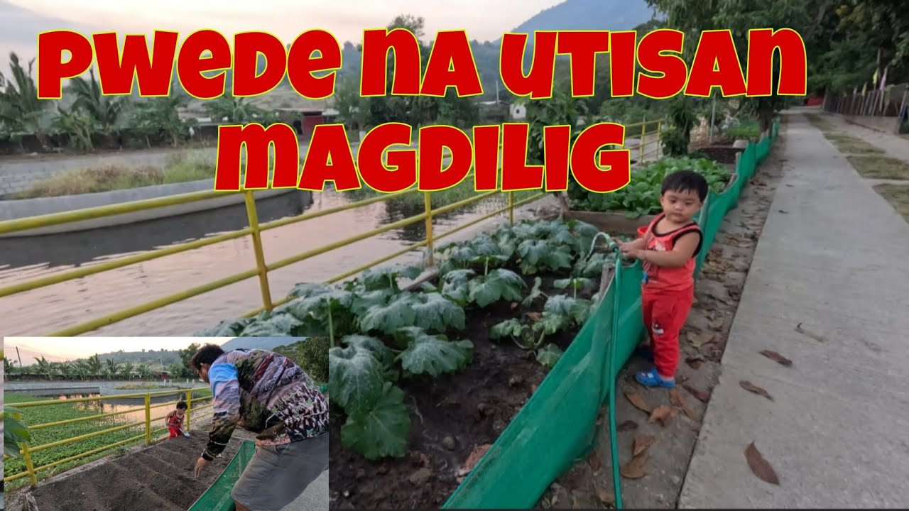 Nagtanim nanaman ng mustasa at pechay | Ang galing na ng alalay ko mag dilig