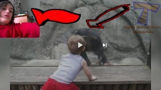 Try not to laugh or smile ape dance off
