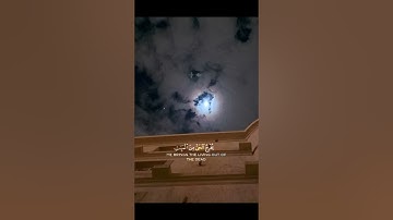 فسبحان الله حين تمسون وحين تصبحون ﴿17﴾سورة الورم #القرآن_الكريم #تلاوة_خاشعة