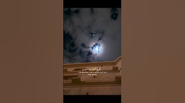 فسبحان الله حين تمسون وحين تصبحون ﴿17﴾سورة الورم #القرآن_الكريم #تلاوة_خاشعة