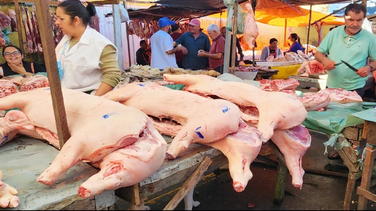 COMIDA SEM MISERIA NAS FEIRAS DO NORDESTE BRASILEIRO