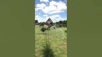 The Goliath Residence _ Goromonzi