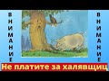 Не связывайтесь с халявщицами \ Чем опасны халявщицы