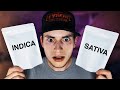 Indica vs Sativa: The Myth Everyone Believes