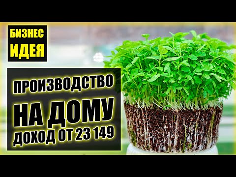 БИЗНЕС ИДЕЯ: КАК НА ДОМУ ЗАПУСТИТЬ МИНИ ПРОИЗВОДСТВО С ДОХОДОМ ОТ 300$?! Бизнес на микрозелени!