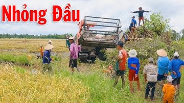 Xem Cảnh Máy Cắt DC93 EXTRA Qua Bờ Mương Nhỏng Đầu Quá Nguy Hiểm #thanhhaumaycat