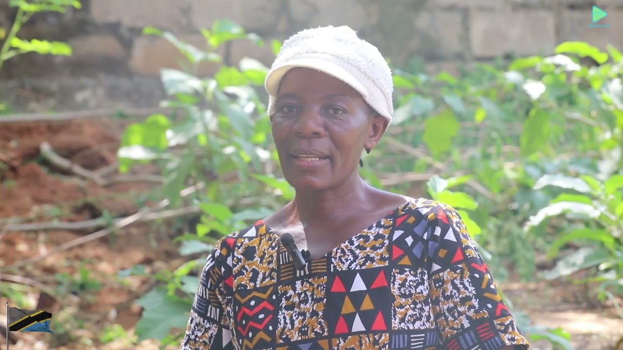 Frida Mtitu: Mfugaji kuku wa Nyama kwa Miaka 8 mfululizo kutoka Manispaa ya Kinondoni