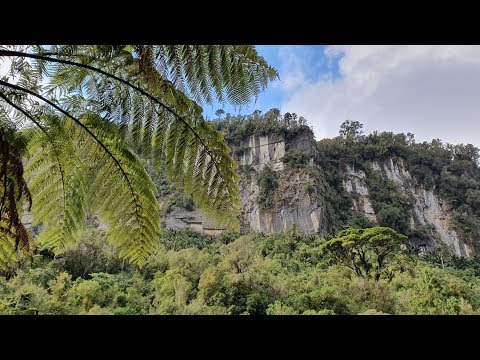 Wideo: Paparoa National Park: Kompletny przewodnik