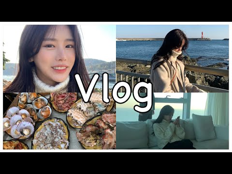 [vlog] 아빠생일 부산으로 가족여행 , 누가 우리아빠 식욕좀 말려주세요 🤣 연화리해산물 | 동래파전 | 태종대 | 엘시티 해운대 | 남포동포장마차,.
