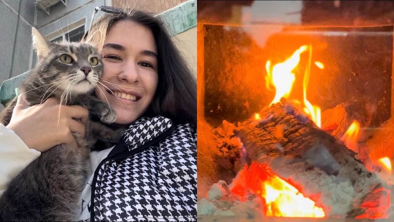 Уикенд загородом | Прививки коту | Небольшая уборка - YouTube