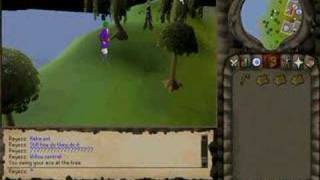runescape-best spot to cut willows