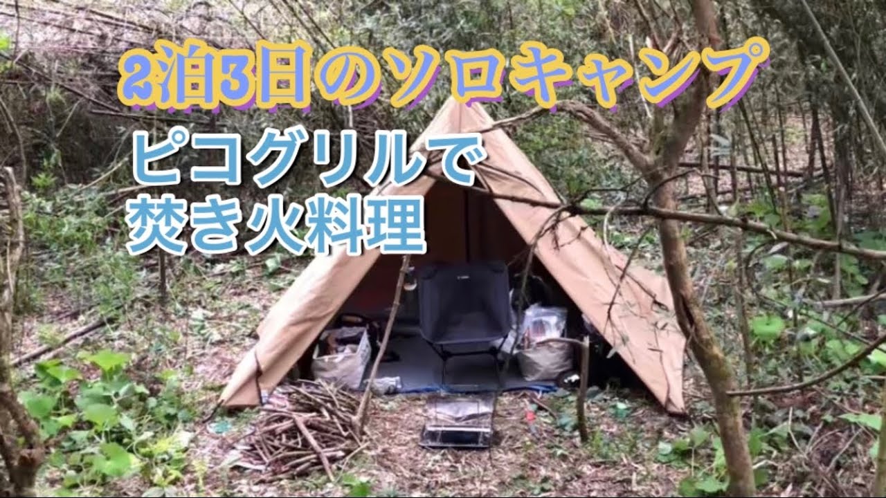 ソロキャンプ】未開拓の森の中でパンダTCを張って焚き火で過ごす2泊3日