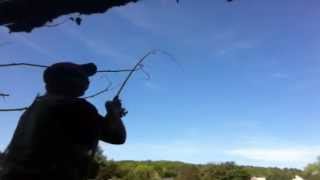 Late Spring River Fishing For Carp