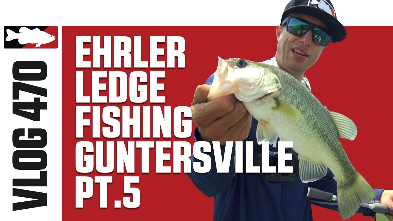 Video Vault - Brent Ehrler Ledge Fishing on Guntersville Pt. 5
