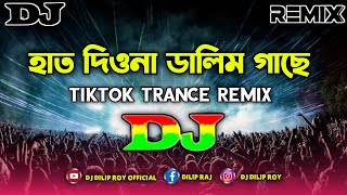 Hat Diona Dalim Gache Dj | Ashraf Udas & Nargis | Tiktok Trance Remix | Bangla Song | Dj Dilip Roy