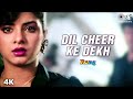 Dil Cheer Ke Dekh | Divya Bharti | Kamal Sadanah | Kumar Sanu | Rang Movie | 90
