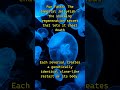 The hidden truth the Immortal Jellyfish doesn’t want you to know #shorts