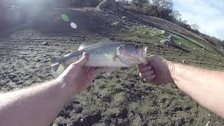 Guadalupe Reservoir Bass fishing