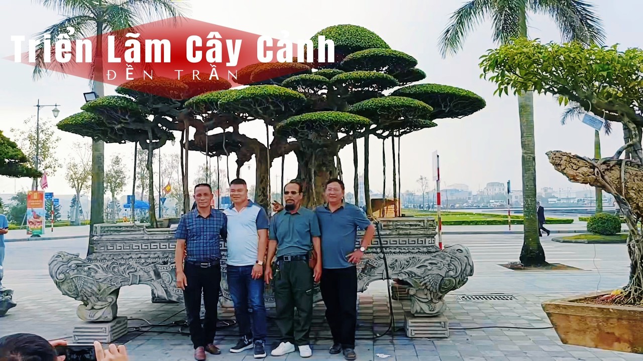 Triển Lãm Cây Cảnh ĐỀN TRẦN Xuân Bính Ngọ 2026