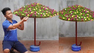 Beautiful Portulaca (Mossrose) Umbrella Garden For The Garden