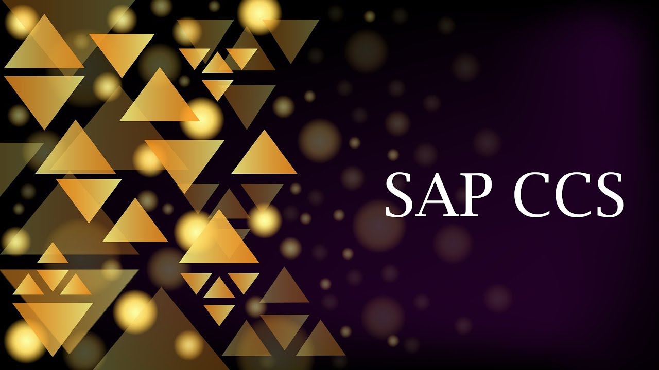 Sap Ccs Konditionsmanagement In Sap Mindlogistik
