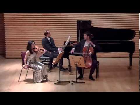 Brahms: Piano Trio no.2 C major op.87, 1st movement