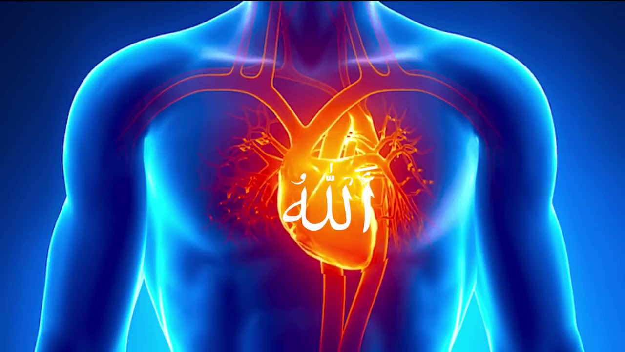 Dzikir Allah - YouTube