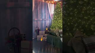 Kate Backdrop | Christmas Room Set