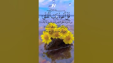 قل أعوذ برب الفلق 💛سورة الفلق بصوت جميل جدا ⚘حالات واتس اب دينية مؤثرة 🌷