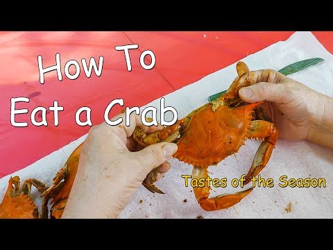How to Eat a Whole Crab Using a Maryland Blue Crab Tastes of the Season 2019