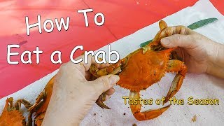 How to Eat a Whole Crab Using a Maryland Blue Crab Tastes of the Season 2023