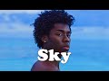 FREE Afrobeat Instrumental 2026 X Burna Boy X Davido Afrobeat Type Beat Sky