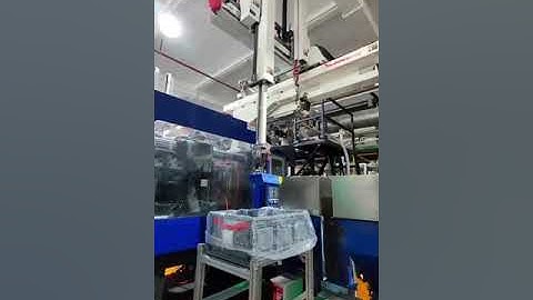 Injection Molding Robots