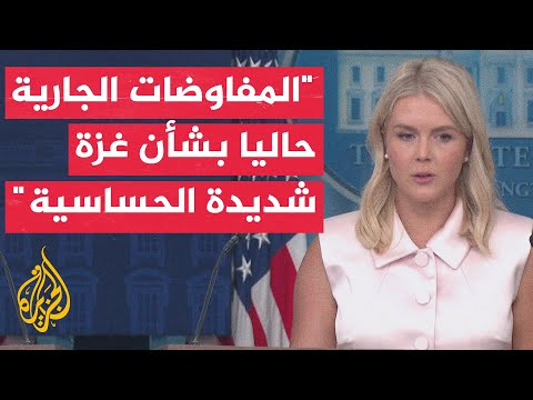 البيت الأبيض: ويتكوف سيلتقي في أوروبا مسؤولين من الشرق الأوسط لبحث مقترح وقف النار بغزة