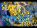 СТРЕЛЕЦ. МАРТ.2019год. ТАРО-ПРОГНОЗ на МЕСЯЦ по НЕДЕЛЯМ.