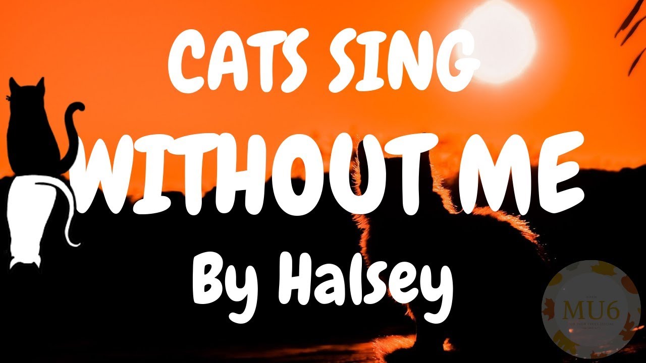 Cats Sing Without Me by Halsey | Cats Singing Song - YouTube