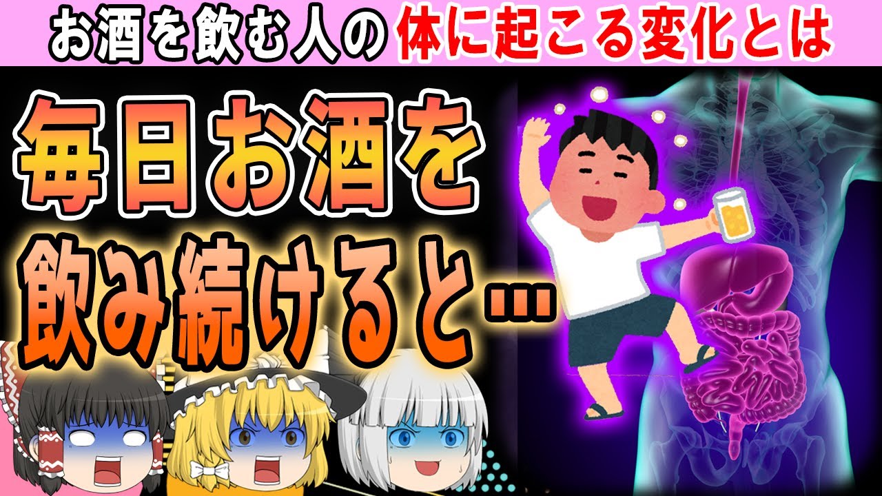 【ゆっくり解説】毎日お酒を飲む人の体で起こっているヤバい事とは…？