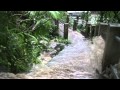 Rain Forest Flash Flood