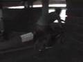 Puzzle BMX (janvier 2008)