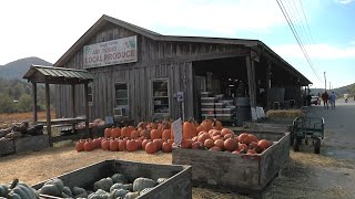 Consumers Flock To North Georgia Farm Market For Fresh Produce