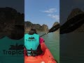 Kayaking in Lan Ha Bay #lanhabay #halongbaycruise #vietnam #shortsfeed #nature #peace #kayaking #fun