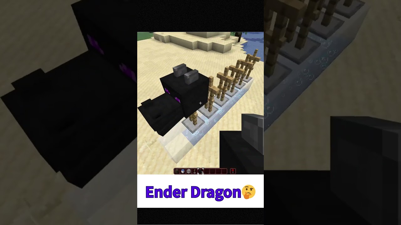 Ender Dragon 
