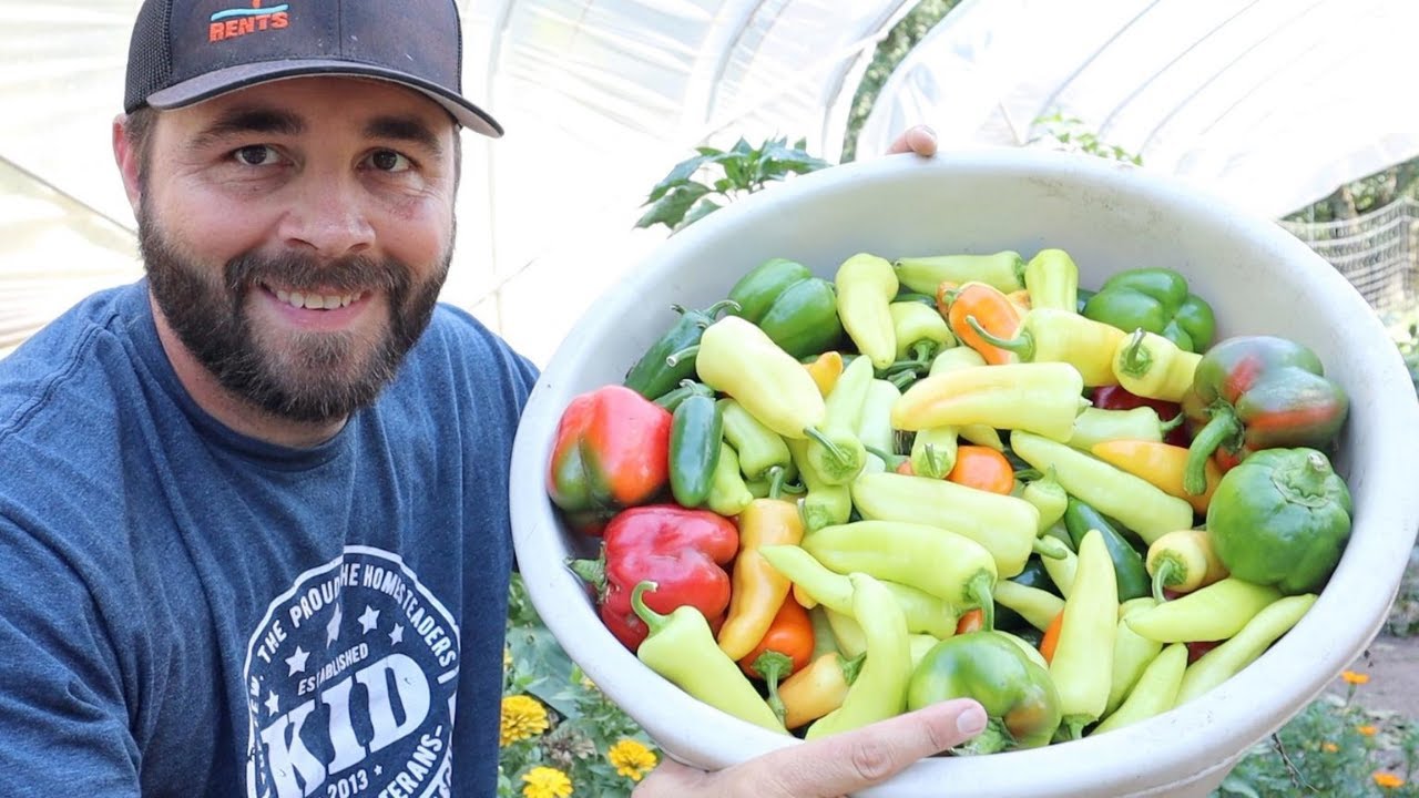 Harvest Season is HERE, BUT It's Almost Time to Start Over! YouTube