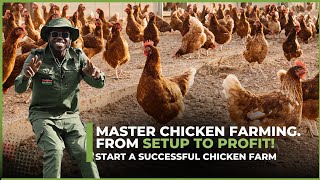 Start a Successful Chicken Farm: Essential Tips & Overcoming Common Problems