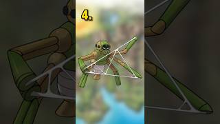 Celebrity Ranking Every Spider Pokémon from Worst to Best Profile