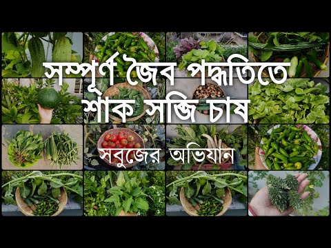 ভিডিও: বাগানে কি শাক জন্মে